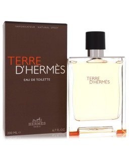 Terre D'Hermes by Hermes Eau De Toilette Spray 6.7 oz (Men)